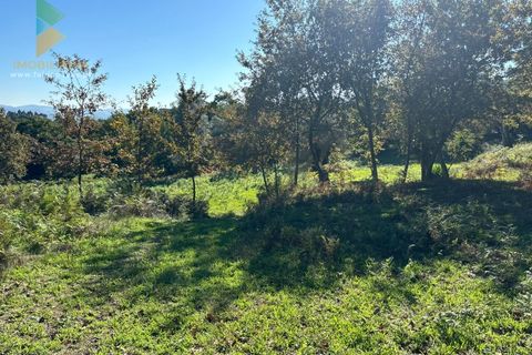 Helårsgrund i Vila Verde, Braga, Vila Verde - € 135.000 | Ref: PTL-001-079 - foto 17