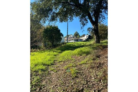 Helårsgrund i Vila Verde, Braga, Vila Verde - € 135.000 | Ref: PTL-001-079 - foto 19