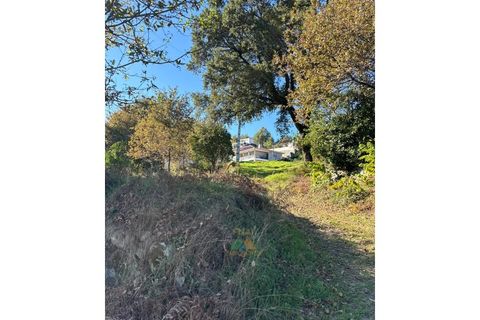 Helårsgrund i Vila Verde, Braga, Vila Verde - € 135.000 | Ref: PTL-001-079 - foto 26