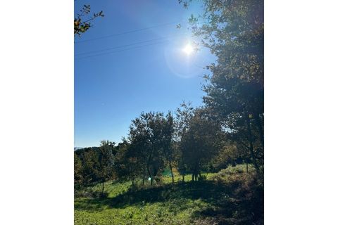 Helårsgrund i Vila Verde, Braga, Vila Verde - € 135.000 | Ref: PTL-001-079 - foto 27