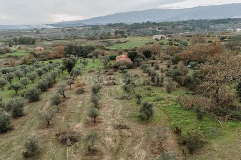 Farm i Fundao, Castelo Branco, Fundao - € 109.500 | Ref: 255240247 - foto 1