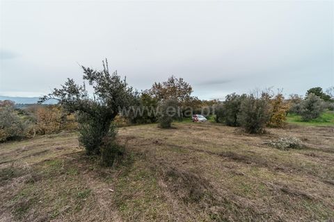 Farm i Fundao, Castelo Branco, Fundao - € 109.500 | Ref: 255240247 - foto 3