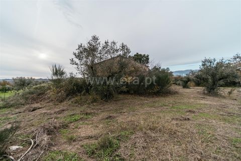 Farm i Fundao, Castelo Branco, Fundao - € 109.500 | Ref: 255240247 - foto 4