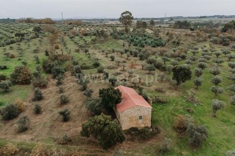 Farm i Fundao, Castelo Branco, Fundao - € 109.500 | Ref: 255240247 - foto 5