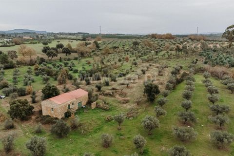 Farm i Fundao, Castelo Branco, Fundao - € 109.500 | Ref: 255240247 - foto 6