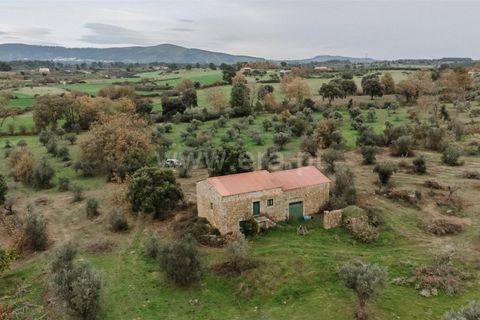 Farm i Fundao, Castelo Branco, Fundao - € 109.500 | Ref: 255240247 - foto 7