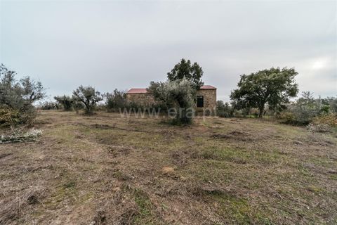 Farm i Fundao, Castelo Branco, Fundao - € 109.500 | Ref: 255240247 - foto 8