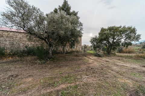 Farm i Fundao, Castelo Branco, Fundao - € 109.500 | Ref: 255240247 - foto 9