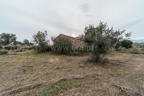 Farm i Fundao, Castelo Branco, Fundao - € 109.500 | Ref: 255240247 - foto 10