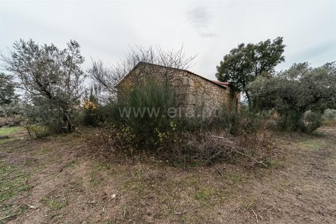 Farm i Fundao, Castelo Branco, Fundao - € 109.500 | Ref: 255240247 - foto 11