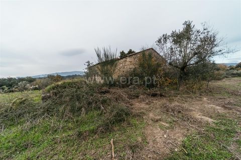 Farm i Fundao, Castelo Branco, Fundao - € 109.500 | Ref: 255240247 - foto 13