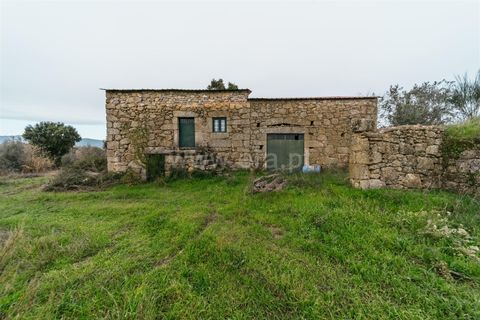 Farm i Fundao, Castelo Branco, Fundao - € 109.500 | Ref: 255240247 - foto 16
