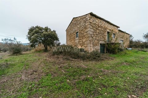 Farm i Fundao, Castelo Branco, Fundao - € 109.500 | Ref: 255240247 - foto 17