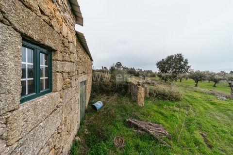 Farm i Fundao, Castelo Branco, Fundao - € 109.500 | Ref: 255240247 - foto 18