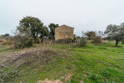 Farm i Fundao, Castelo Branco, Fundao - € 109.500 | Ref: 255240247 - foto 19
