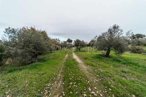 Farm i Fundao, Castelo Branco, Fundao - € 109.500 | Ref: 255240247 - foto 21