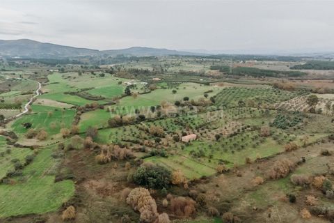 Farm i Fundao, Castelo Branco, Fundao - € 109.500 | Ref: 255240247 - foto 22