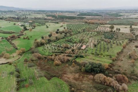 Farm i Fundao, Castelo Branco, Fundao - € 109.500 | Ref: 255240247 - foto 23