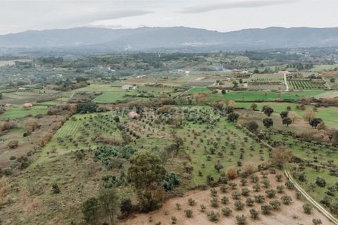 Farm i Fundao, Castelo Branco, Fundao - € 109.500 | Ref: 255240247 - foto 24