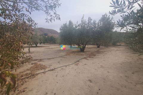 Landejendom i Purchena, Almeria, Purchena - € 80.000 | Ref: 2657 - foto 21