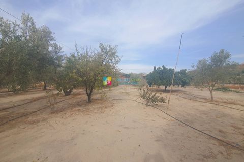 Landejendom i Purchena, Almeria, Purchena - € 80.000 | Ref: 2657 - foto 22