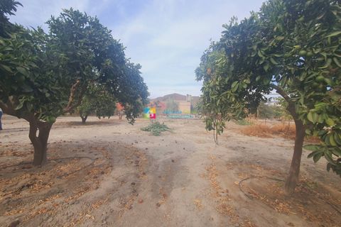 Landejendom i Purchena, Almeria, Purchena - € 80.000 | Ref: 2657 - foto 23
