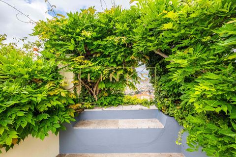 Villa i Sao Roque, Madeira, Sao Roque - € 845.000 | Ref: LH-466-2024 - foto 36