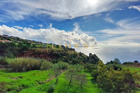 Villa i Calheta, Madeira, Calheta - € 620.000 | Ref: LH-566-2024 - foto 24