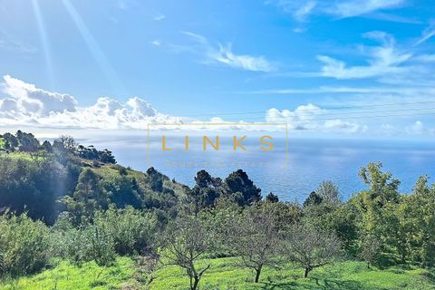 Villa i Calheta, Madeira, Calheta - € 620.000 | Ref: LH-566-2024 - foto 25