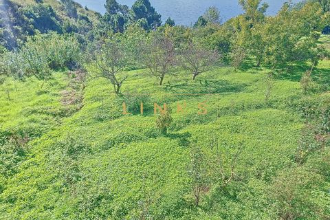 Villa i Calheta, Madeira, Calheta - € 620.000 | Ref: LH-566-2024 - foto 26