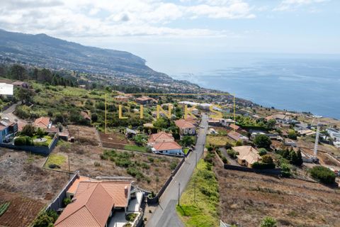 Helårsgrund i Calheta, Madeira, Calheta - € 219.000 | Ref: LH-585-2025 - foto 14