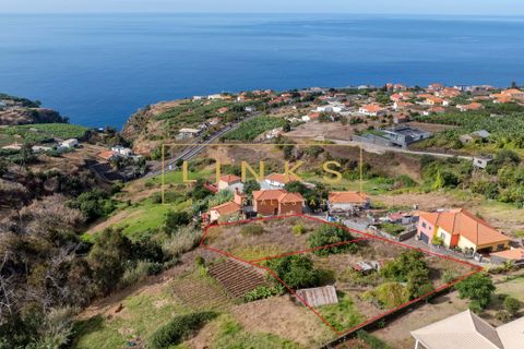 Helårsgrund i Calheta, Madeira, Calheta - € 195.000 | Ref: LH-588-2025 - foto 8