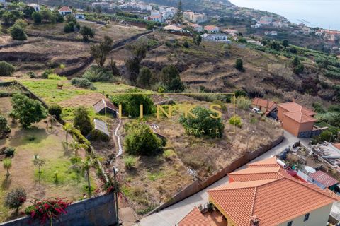 Helårsgrund i Calheta, Madeira, Calheta - € 195.000 | Ref: LH-588-2025 - foto 10