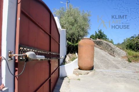 Farm i Mafra, Lisbon, Mafra - € 1.420.000 | Ref: MAS_550 - foto 22