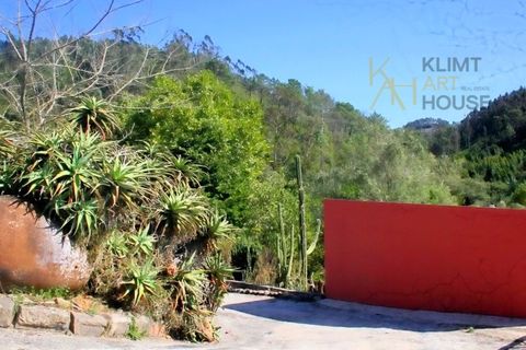 Farm i Mafra, Lisbon, Mafra - € 1.420.000 | Ref: MAS_550 - foto 23