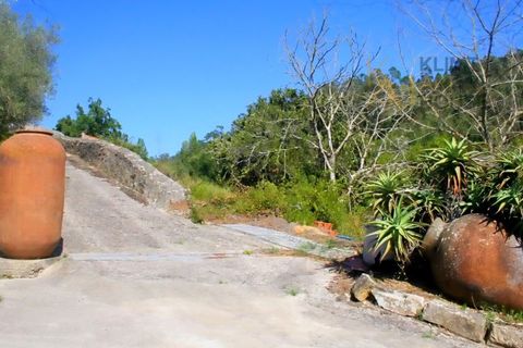 Farm i Mafra, Lisbon, Mafra - € 1.420.000 | Ref: MAS_550 - foto 44