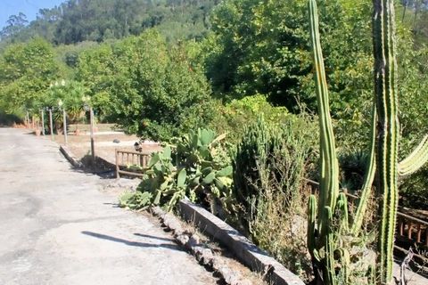 Farm i Mafra, Lisbon, Mafra - € 1.420.000 | Ref: MAS_550 - foto 45