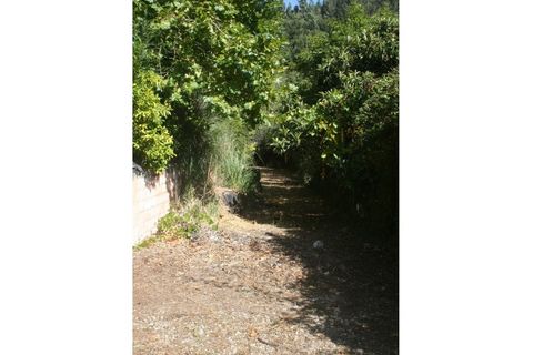 Farm i Mafra, Lisbon, Mafra - € 1.420.000 | Ref: MAS_550 - foto 47