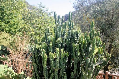 Farm i Mafra, Lisbon, Mafra - € 1.420.000 | Ref: MAS_550 - foto 49