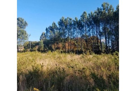 Helårsgrund i Valenca, Viana do Castelo, Valenca - € 100.000 | Ref: F1-03-48 - foto 1