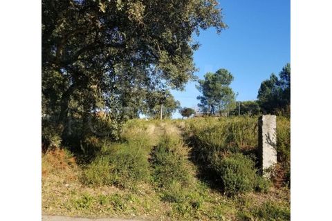 Helårsgrund i Valenca, Viana do Castelo, Valenca - € 100.000 | Ref: F1-03-48 - foto 2