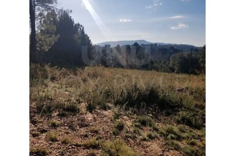 Helårsgrund i Valenca, Viana do Castelo, Valenca - € 100.000 | Ref: F1-03-48 - foto 4