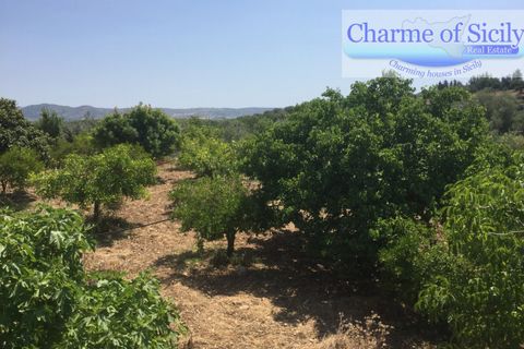 Helårsgrund i Rosolini, Siracusa, Rosolini - € 150.000 | Ref: SC 05 - foto 4