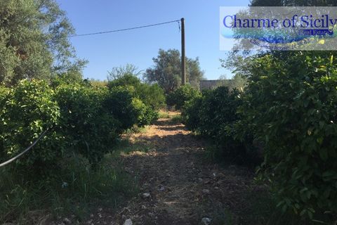 Helårsgrund i Rosolini, Siracusa, Rosolini - € 150.000 | Ref: SC 05 - foto 6