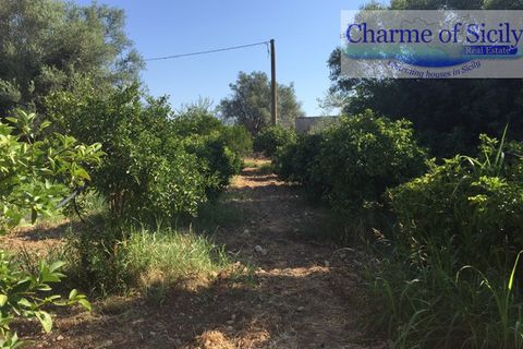 Helårsgrund i Rosolini, Siracusa, Rosolini - € 150.000 | Ref: SC 05 - foto 7