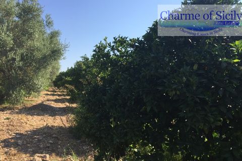 Helårsgrund i Rosolini, Siracusa, Rosolini - € 150.000 | Ref: SC 05 - foto 8