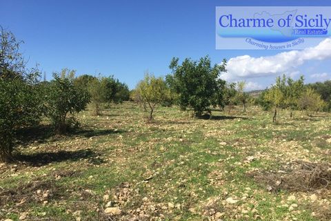 Helårsgrund i Rosolini, Siracusa, Rosolini - € 150.000 | Ref: SC 05 - foto 13