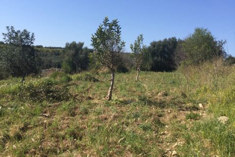 Helårsgrund i Rosolini, Siracusa, Rosolini - € 150.000 | Ref: SC 05 - foto 15