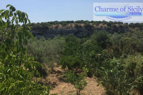 Helårsgrund i Rosolini, Siracusa, Rosolini - € 150.000 | Ref: SC 05 - foto 16