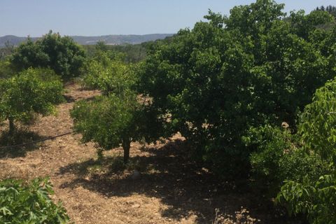 Helårsgrund i Rosolini, Siracusa, Rosolini - € 150.000 | Ref: SC 05 - foto 17